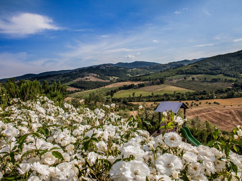 Panorama&scivolo